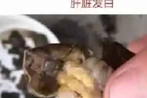 河蟹白肝花肝如何处理?