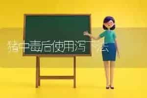 猪中毒后使用泻下法