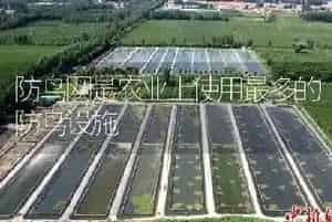防鸟网是农业上使用最多的防鸟设施