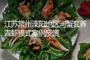 江苏常州溧阳地区河蟹套养青虾模式案例反馈