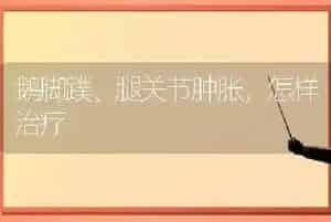 鹅脚蹼、腿关节肿胀,怎样治疗