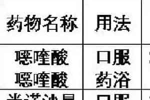 各国对鳗鱼养殖中喹诺酮类药物使用情况的检测标准