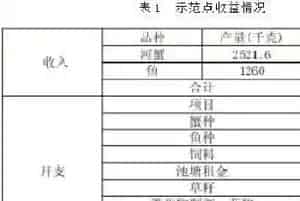 河蟹高效养殖的“湖北模式”:池塘“3＋5”生态养殖模式