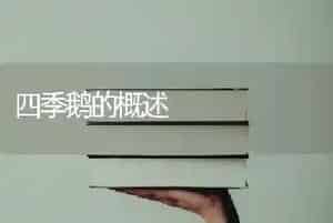 四季鹅的概述
