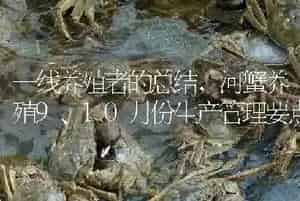 一线养殖者的总结,河蟹养殖9、10月份生产管理要点