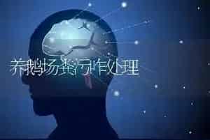 养鹅场粪污咋处理