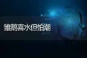 雏鹅喜水但怕潮