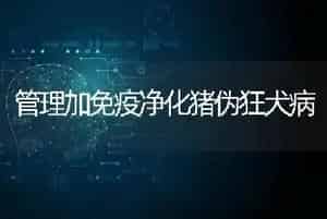 管理加免疫净化猪伪狂犬病