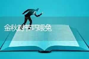 金秋时节巧喂兔
