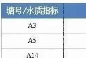 都在谈诺卡氏菌色变,其实生鱼烂身病还是有防治方法的……