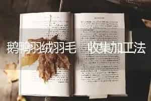 鹅鸭羽绒羽毛 收集加工法