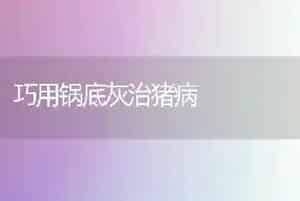 巧用锅底灰治猪病
