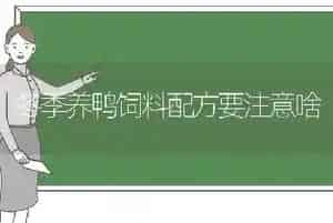怎样使母鹅不抱窝、多产蛋