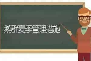 鹅群夏季管理措施