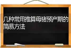 几种常用推算母猪预产期的简易方法