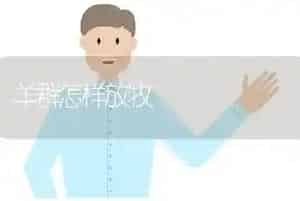 羊群怎样放牧