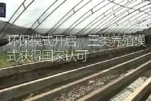 环保模式开启,三类养殖模式获得国家认可