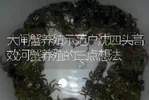 河蟹软壳病产生的原因和防治方法