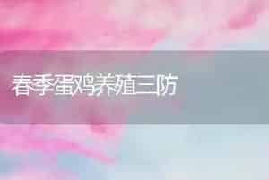 春季蛋鸡养殖三防