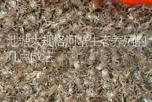 池塘大规格河蟹生态养殖的几点做法
