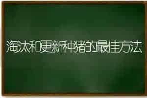 淘汰和更新种猪的最佳方法
