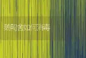 鹅鸭舍如何消毒