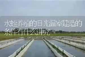 水蛭养殖的日光温室建造的条件有什么讲究