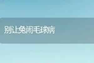 别让兔闹毛球病