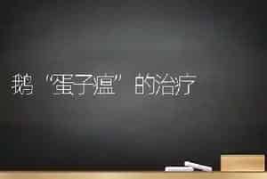 鹅“蛋子瘟”的治疗
