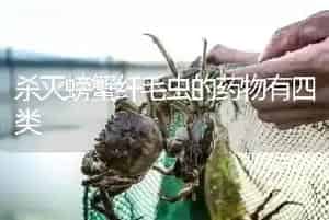 杀灭螃蟹纤毛虫的药物有四类