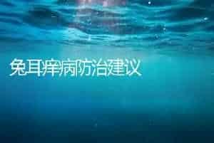 兔耳痒病防治建议
