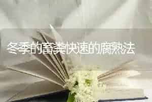 冬季的畜粪快速的腐熟法