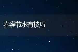 春天至夏初巧喂大牲畜