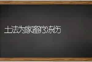 土法为家畜疗冻伤
