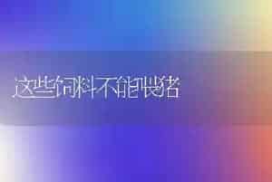 这些饲料不能喂猪