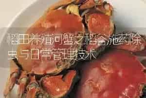 稻田养殖河蟹之稻谷施药除虫与日常管理技术