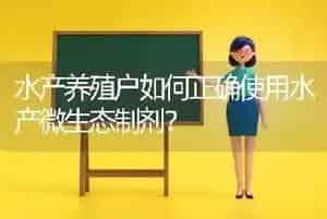 水产养殖户如何正确使用水产微生态制剂?