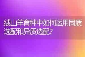 绒山羊育种中如何运用同质选配和异质选配?