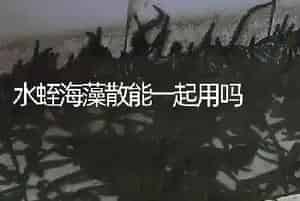 水蛭海藻散能一起用吗