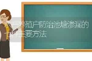 水产养殖户防治池塘渗漏的七种主要方法