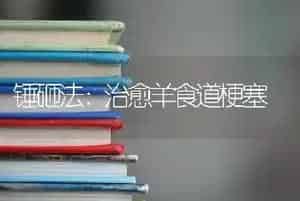 锤砸法：治愈羊食道梗塞
