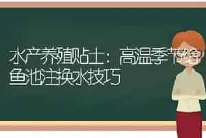 水产养殖贴士：高温季节给鱼池注换水技巧