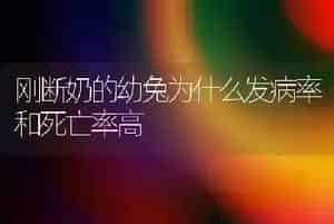 刚断奶的幼兔为什么发病率和死亡率高