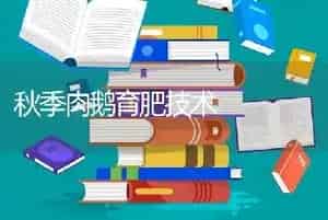 秋季肉鹅育肥技术