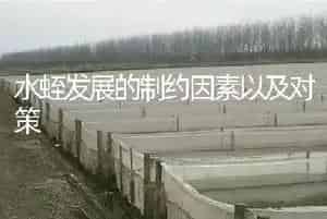 水蛭发展的制约因素以及对策
