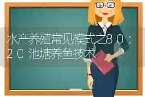 水产养殖常见模式之80:20池塘养鱼技术