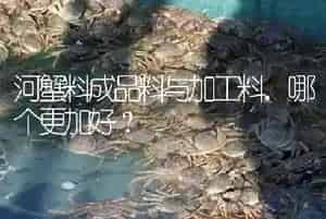 河蟹料成品料与加工料,哪个更加好?