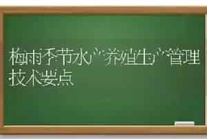 梅雨季节水产养殖生产管理技术要点