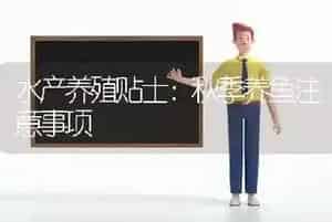 水产养殖贴士：秋季养鱼注意事项