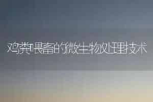 鸡粪喂畜的微生物处理技术